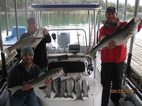 Nice Striped Bass